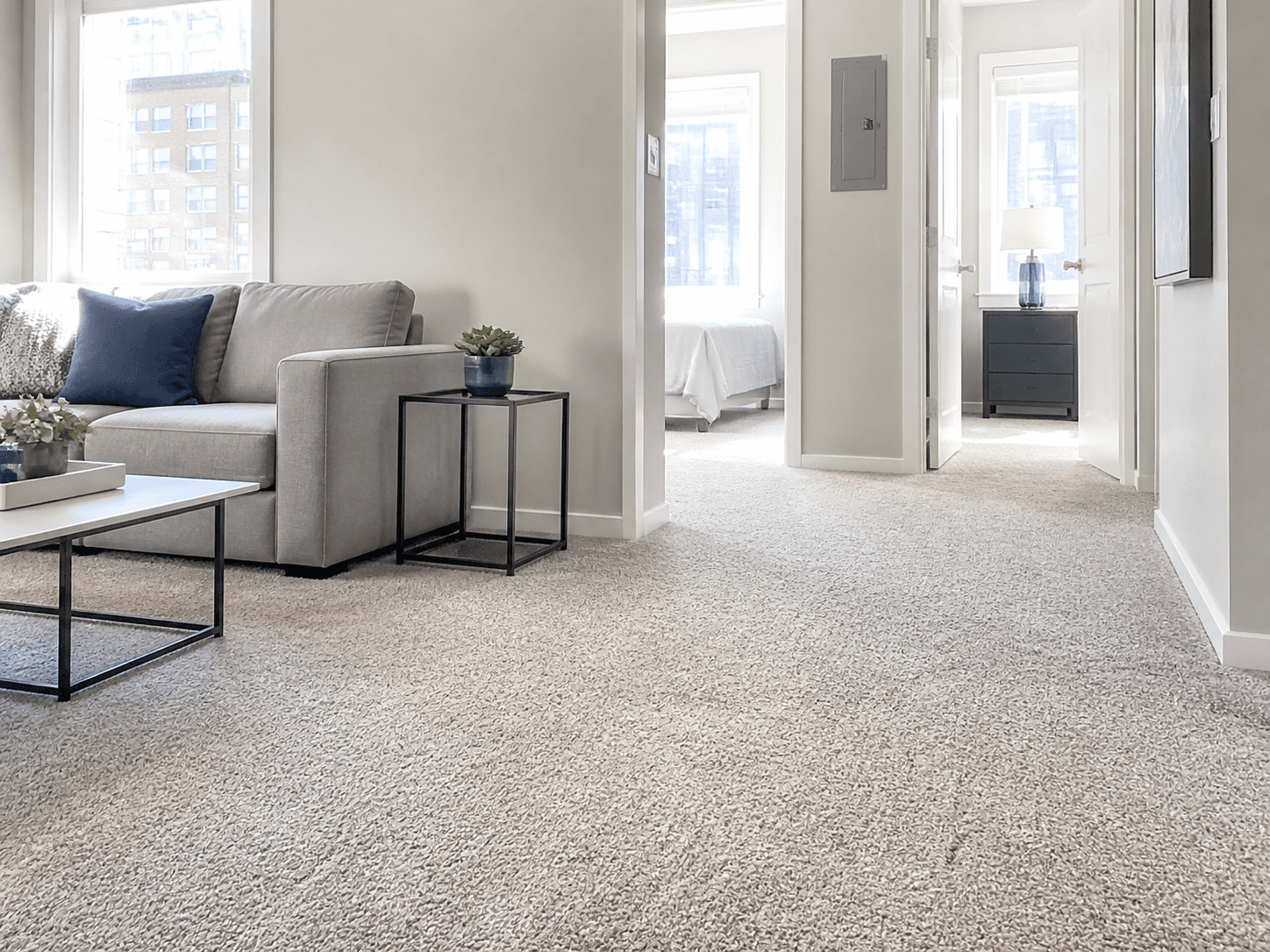Freshly cleaned carpet across three connected rooms